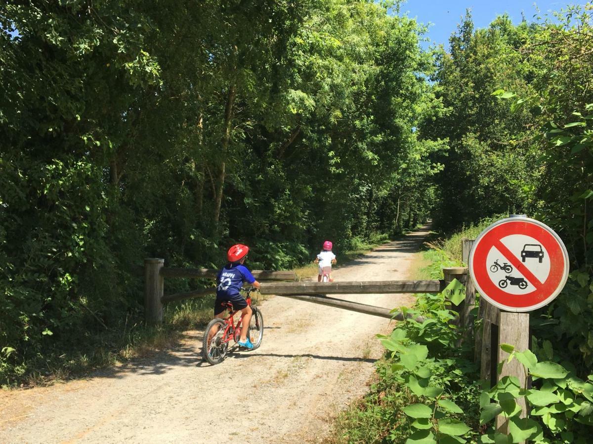 Gite Libellule Au Coeur De La Nature Moncoutant Exteriör bild